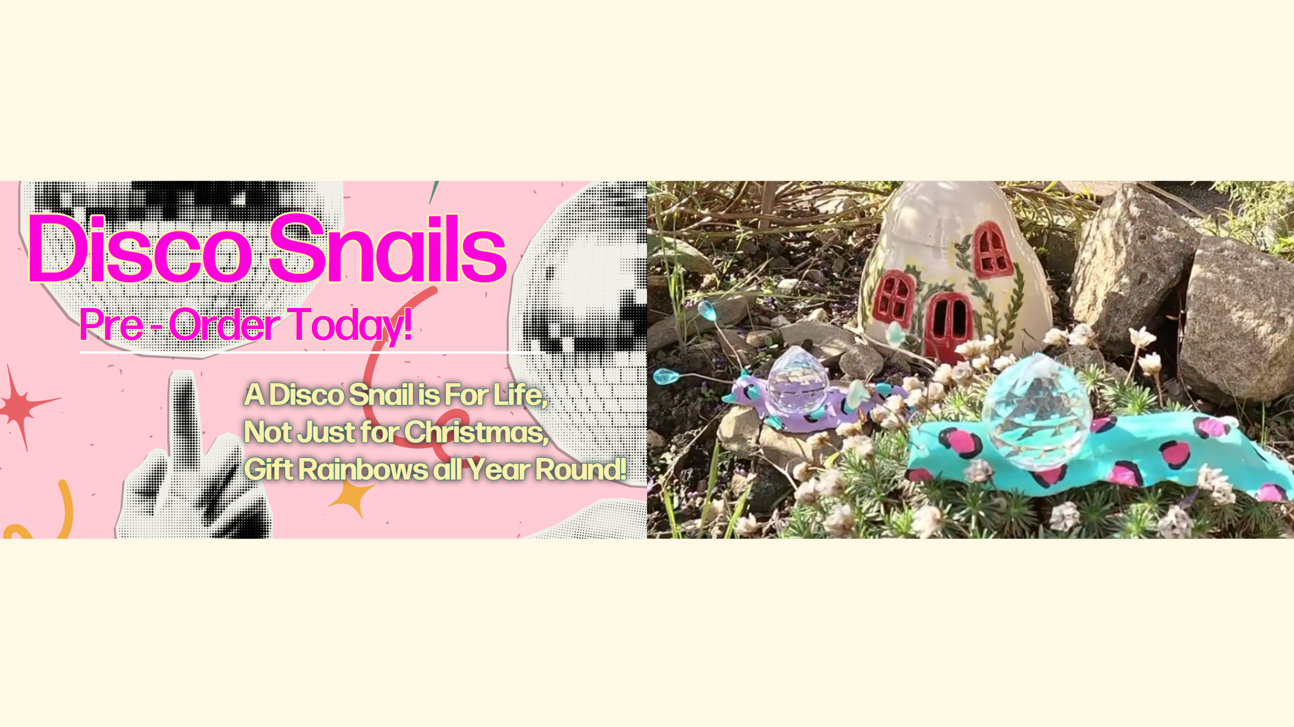 photo of two Disco snails on a tree planter in a sunny garden.