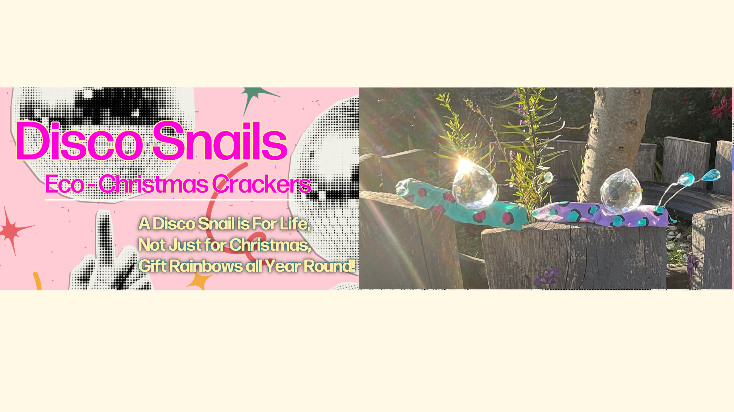 Photo of two Disco snails on a tree planter in a sunny garden.